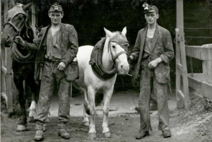 Pit Ponies and Miners (image from State Library of Victoria)